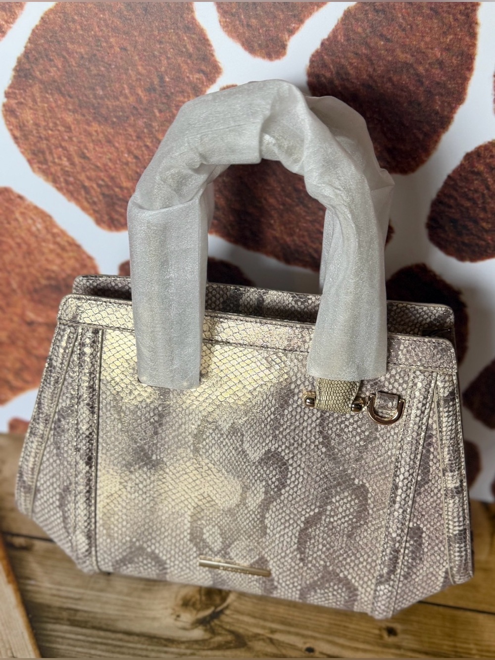 NWT Brahmin Small Arden Gold Blissful Snake BRAHMIN CAPSULE LIMITED EDITION $415 - Picture 11 of 16